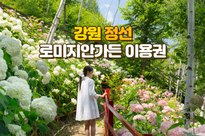 [즉시발송] 정선 로미지안가든 이용권